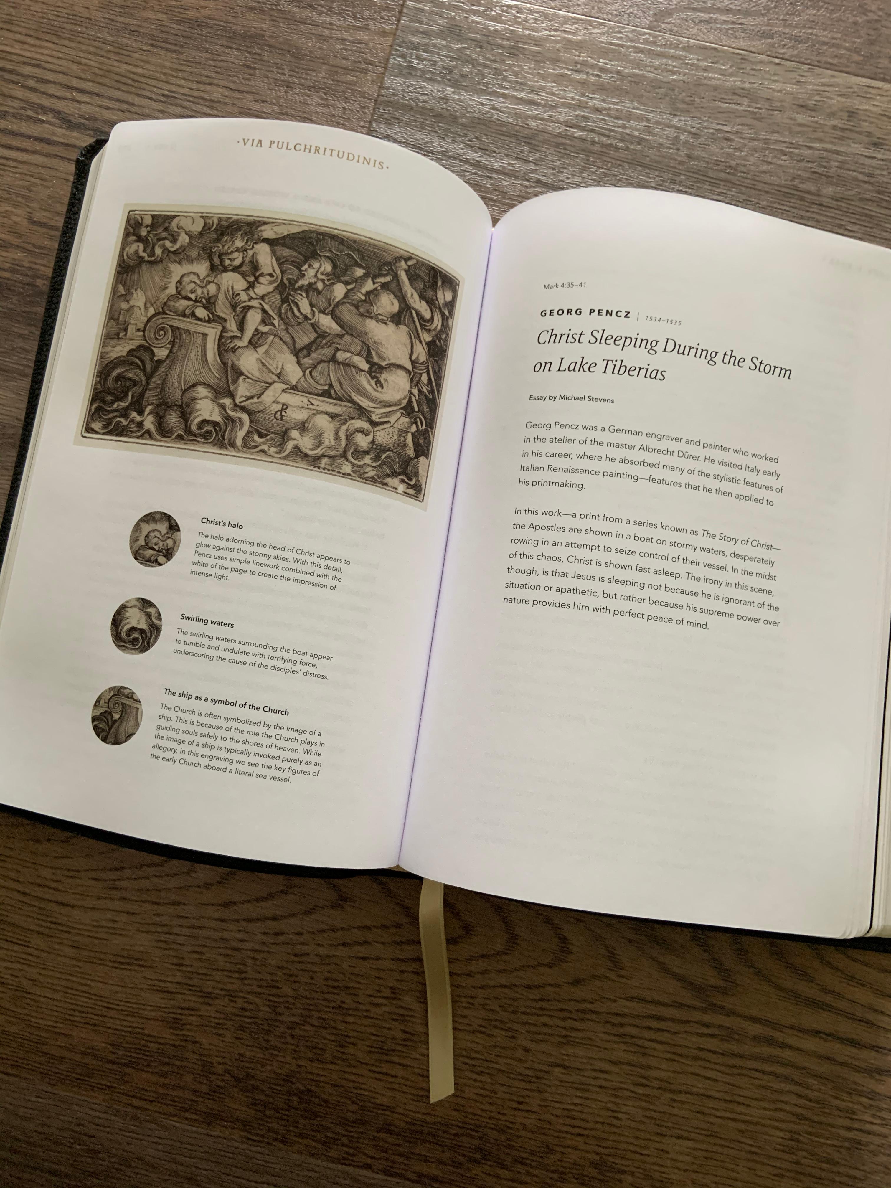 The Word On Fire Bible The Gospels The Word On Fire Bible The Gospels